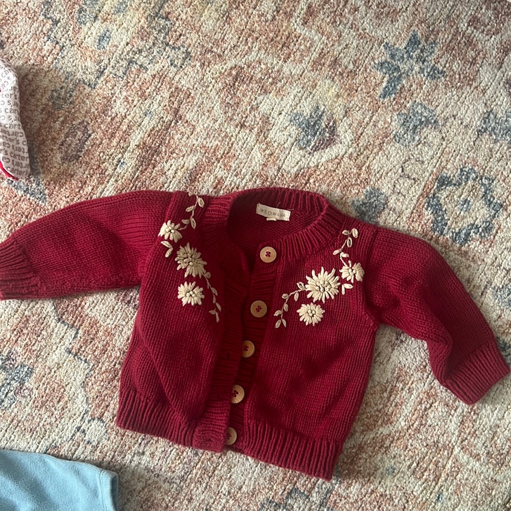 Wild Wawa red sweater